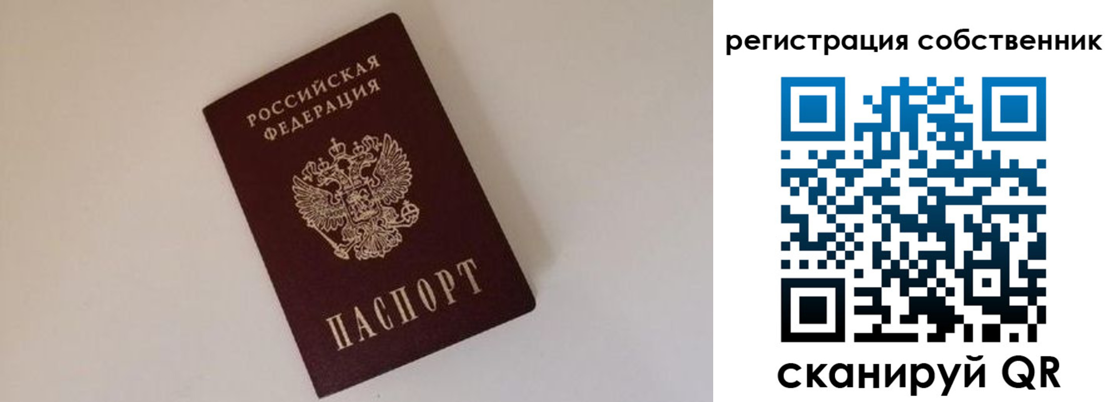 временная регистрация надежно в Полярных Зорях